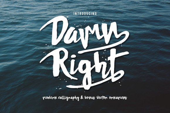 Damn Right: A Playful Brush Script Font for Modern Marketing