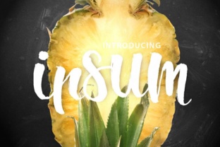 How Ipsum Script Became Our Go-To Campaign Font