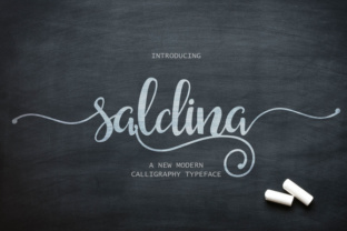 Saldina: A Multipurpose Script Font for Modern Campaigns