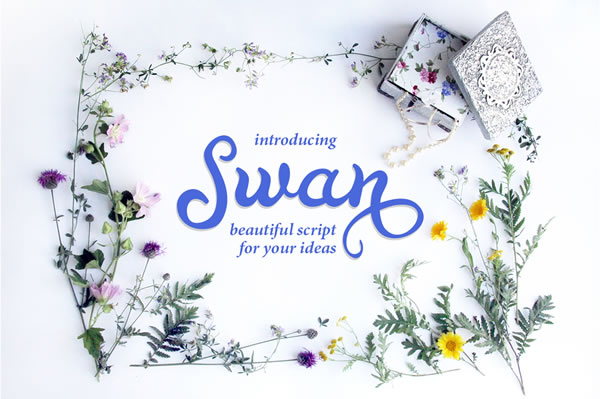Swan Font: Elegant Handwritten Typography for Crafters